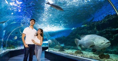 manila ocean park manila|Home .